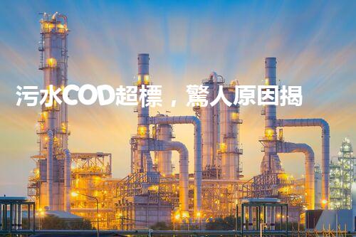 污水COD超標，驚人原因揭秘！